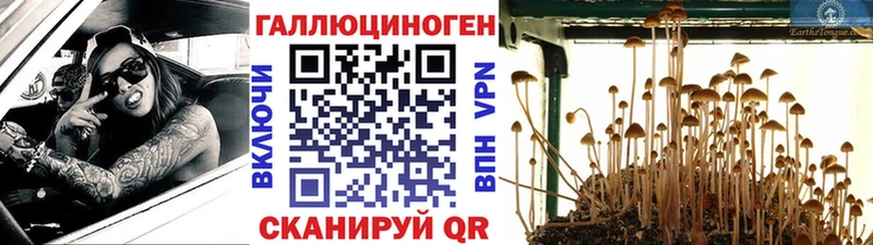 наркотики  Спасск  Галлюциногенные грибы прущие грибы 